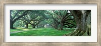 Framed USA, Louisiana, New Orleans, Oak Alley Plantation, plantation home through alley of oak trees
