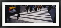 Framed Group of people crossing at a zebra crossing, New York City, New York State, USA
