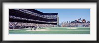 Framed USA, California, San Francisco, SBC Ballpark, Spectator watching the baseball game in the stadium