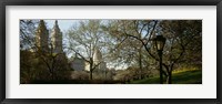 Framed Park In Front Of A Building, Central Park, NYC, New York City, New York State, USA