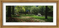 Framed Flowers in a park, Central Park, Manhattan, New York City, New York State, USA