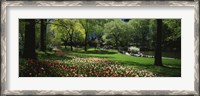 Framed Flowers in a park, Central Park, Manhattan, New York City, New York State, USA
