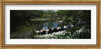 Framed Group of people sitting on benches near a pond, Central Park, Manhattan, New York City, New York State, USA