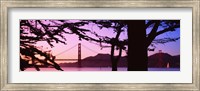 Framed Suspension Bridge Over Water, Golden Gate Bridge, San Francisco, California, USA