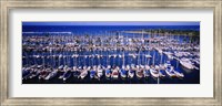 Framed High angle view of boats in a row, Ala Wai, Honolulu, Hawaii
