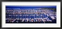 Framed High angle view of boats in a row, Ala Wai, Honolulu, Hawaii