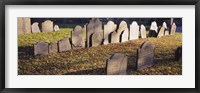 Framed Tombstones in a cemetery, Copp's Hill Burying Ground, Boston, Massachusetts