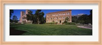 Framed Lawn in front of a Royce Hall and Haines Hall, University of California, City of Los Angeles, California, USA