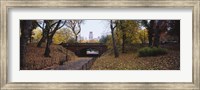 Framed Bridge in a park, Central Park, Manhattan, New York City, New York State, USA