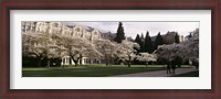 Framed University of Washington, Seattle, King County, Washington State