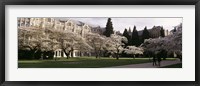 Framed University of Washington, Seattle, King County, Washington State