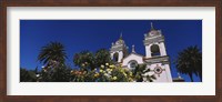 Framed Plants in front of a cathedral, Portuguese Cathedral, San Jose, Silicon Valley, Santa Clara County, California, USA