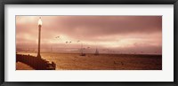 Framed Sailboats in the sea, San Francisco Bay, Golden Gate Bridge, San Francisco, California, USA