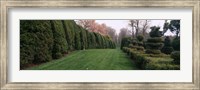 Framed Hedge in a formal garden, Ladew Topiary Gardens, Monkton, Baltimore County, Maryland