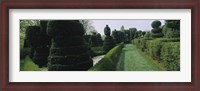 Framed Sculptures formed from trees and plants in a garden, Ladew Topiary Gardens, Monkton, Baltimore County, Maryland, USA