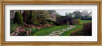 Framed Flowers in a garden, Ladew Topiary Gardens, Monkton, Baltimore County, Maryland, USA