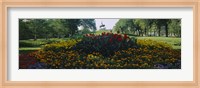 Framed Flowers in a park, Grant Park, Chicago, Cook County, Illinois, USA