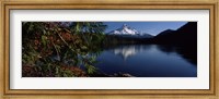 Framed Reflection of a mountain in a lake, Mt Hood, Lost Lake, Mt. Hood National Forest, Hood River County, Oregon, USA