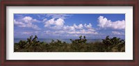 Framed Tampa Bay, Gulf Of Mexico, Anna Maria Island, Florida