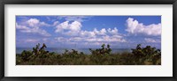 Framed Tampa Bay, Gulf Of Mexico, Anna Maria Island, Florida