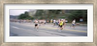 Framed Marathon runners on a road, Boston Marathon, Washington Street, Wellesley, Norfolk County, Massachusetts, USA