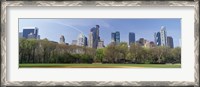 Framed Trees in a park, Central Park South, Central Park, Manhattan, New York City, New York State, USA