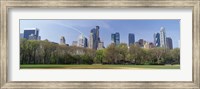 Framed Trees in a park, Central Park South, Central Park, Manhattan, New York City, New York State, USA