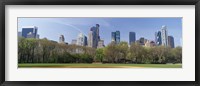 Framed Trees in a park, Central Park South, Central Park, Manhattan, New York City, New York State, USA