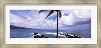 Framed Palm tree on the coast, Honolulu Nui Bay, Nahiku, Maui, Hawaii, USA