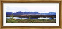 Framed Lake with a mountain range in the background, Mt McKinley, Denali National Park, Anchorage, Alaska, USA