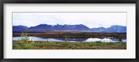 Framed Lake with a mountain range in the background, Mt McKinley, Denali National Park, Anchorage, Alaska, USA