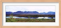 Framed Lake with a mountain range in the background, Mt McKinley, Denali National Park, Anchorage, Alaska, USA