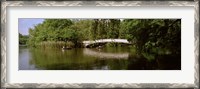 Framed Bridge across a lake, Central Park, Manhattan, New York City, New York State, USA