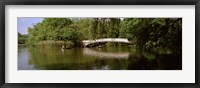 Framed Bridge across a lake, Central Park, Manhattan, New York City, New York State, USA