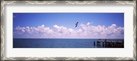 Framed Pier over the sea, Fort De Soto Park, Tampa Bay, Gulf of Mexico, St. Petersburg, Pinellas County, Florida, USA