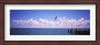 Framed Pier over the sea, Fort De Soto Park, Tampa Bay, Gulf of Mexico, St. Petersburg, Pinellas County, Florida, USA