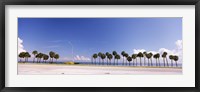 Framed Palm trees at the roadside, Interstate 275, Tampa Bay, Gulf of Mexico, Florida, USA