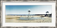Framed Palm tree sprinkler on the beach, Coney Island, Brooklyn, New York City, New York State, USA