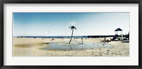 Framed Palm tree sprinkler on the beach, Coney Island, Brooklyn, New York City, New York State, USA