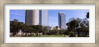 Framed Buildings in a city viewed from a park, Plant Park, University Of Tampa, Tampa, Hillsborough County, Florida, USA