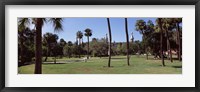 Framed Trees in a campus, University Of Tampa, Florida