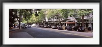 Framed Cars parked at the roadside, College Avenue, Claremont, Oakland, Alameda County, California, USA