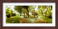 Framed Trees in a park, McCarren Park, Greenpoint, Brooklyn, New York City, New York State, USA