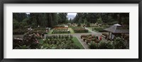 Framed Tourists in a rose garden, International Rose Test Garden, Washington Park, Portland, Multnomah County, Oregon, USA
