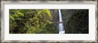 Framed Waterfall in a forest, Multnomah Falls, Columbia River Gorge, Portland, Multnomah County, Oregon, USA