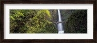 Framed Waterfall in a forest, Multnomah Falls, Columbia River Gorge, Portland, Multnomah County, Oregon, USA