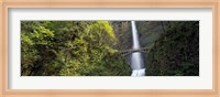 Framed Waterfall in a forest, Multnomah Falls, Columbia River Gorge, Portland, Multnomah County, Oregon, USA