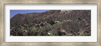 Framed Hollywood Hills, Hollywood, California