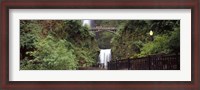 Framed Waterfall in a forest, Multnomah Falls, Hood River, Columbia River Gorge, Oregon