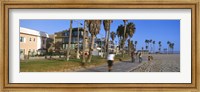 Framed People riding bicycles near a beach, Venice Beach, City of Los Angeles, California, USA